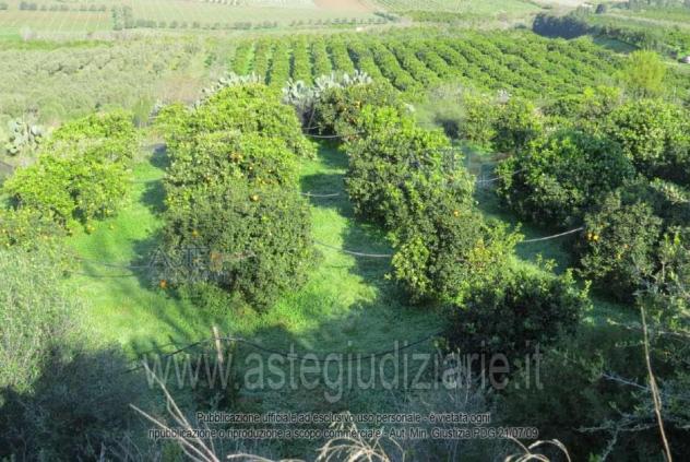 terreno agricolo in vendita ad Acate