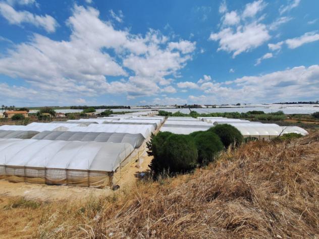 terreno agricolo in vendita ad Acate