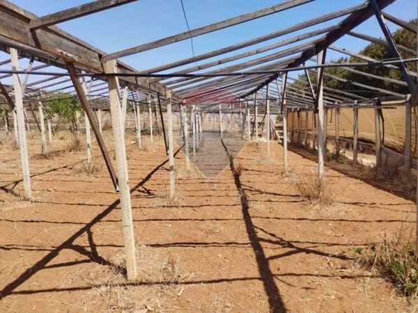 terreno agricolo in vendita ad Acate