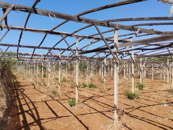 terreno agricolo in vendita ad Acate