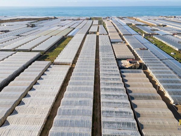 casa indipendente in vendita ad Acate