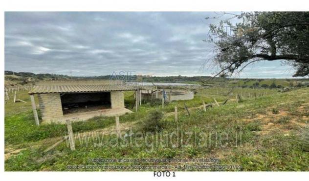 terreno agricolo in vendita ad Acate
