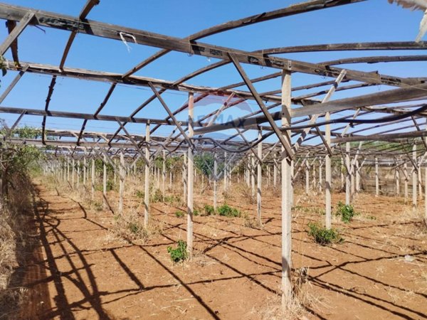 terreno agricolo in vendita ad Acate