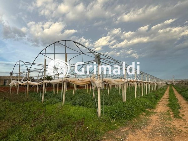 terreno agricolo in vendita ad Acate