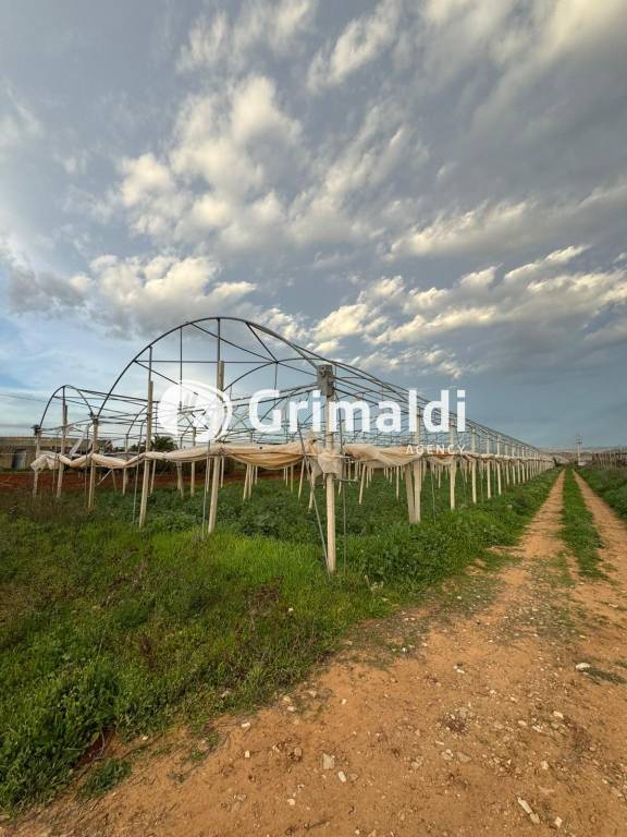 terreno agricolo in vendita ad Acate