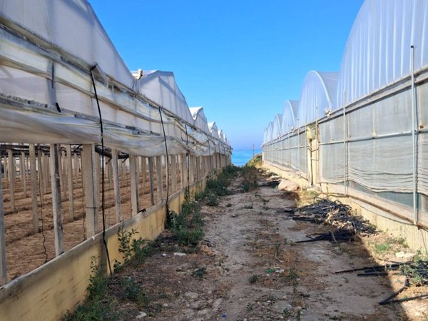 terreno agricolo in vendita ad Acate
