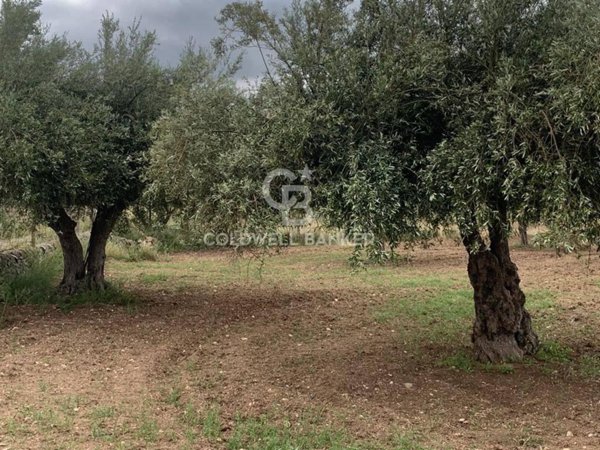 terreno agricolo in vendita a Chiaramonte Gulfi in zona Roccazzo