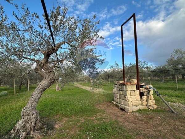 terreno agricolo in vendita a Chiaramonte Gulfi