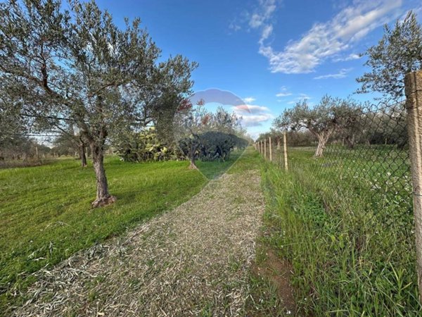 terreno agricolo in vendita a Chiaramonte Gulfi in zona Roccazzo
