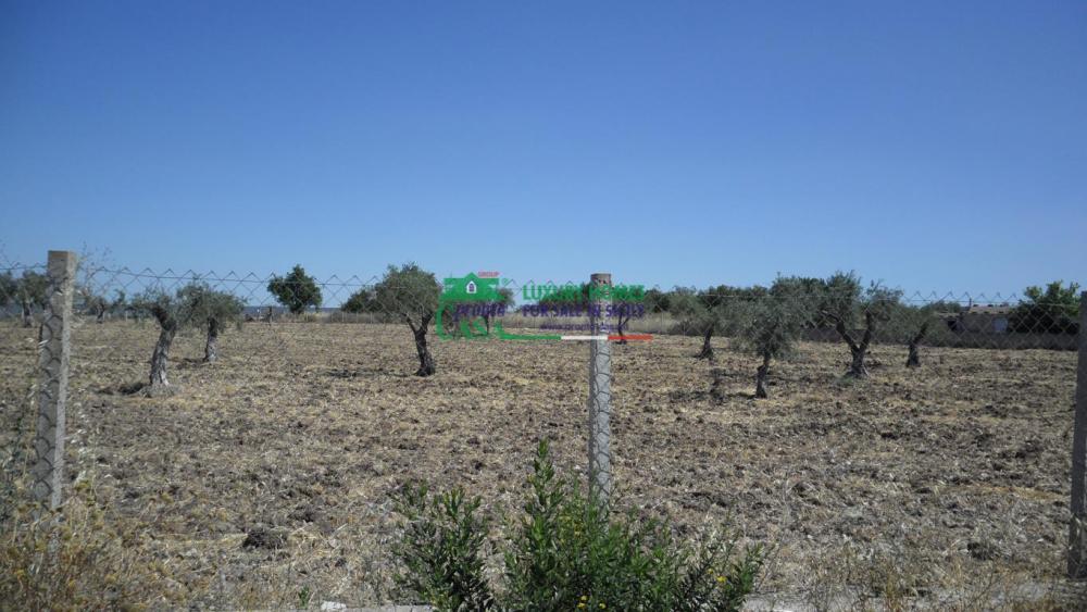 terreno agricolo in vendita a Chiaramonte Gulfi
