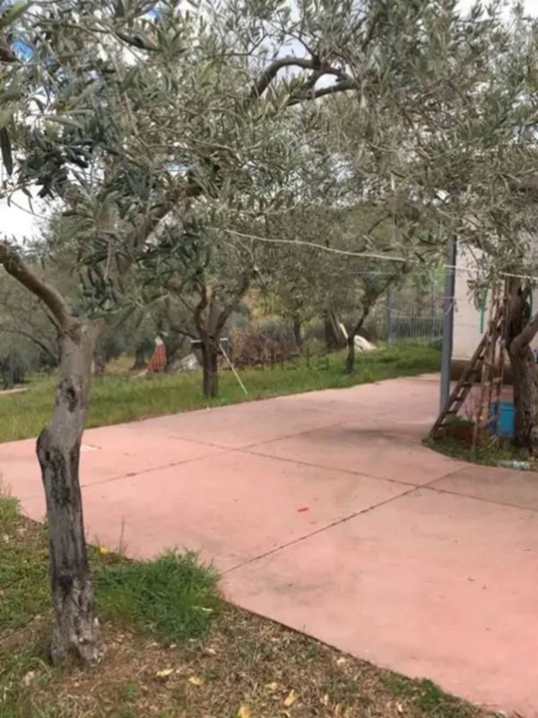 appartamento in vendita a Chiaramonte Gulfi