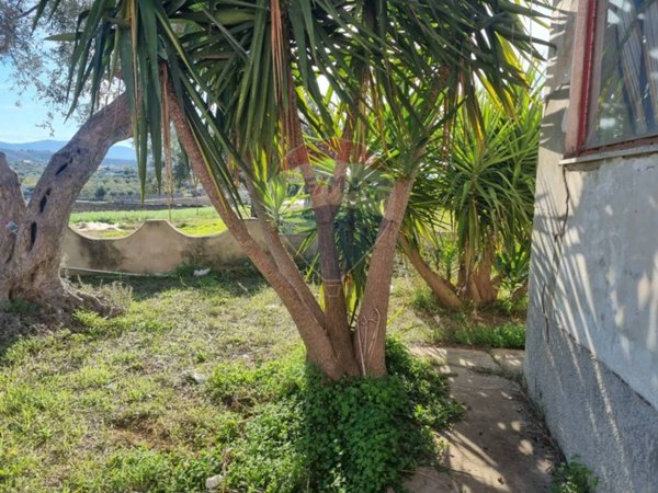 casa indipendente in vendita a Chiaramonte Gulfi