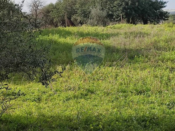 terreno agricolo in vendita a Chiaramonte Gulfi