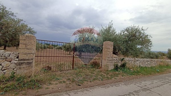 terreno agricolo in vendita a Chiaramonte Gulfi