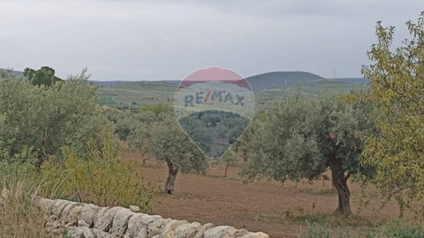 terreno agricolo in vendita a Chiaramonte Gulfi