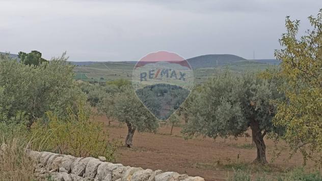 terreno agricolo in vendita a Chiaramonte Gulfi