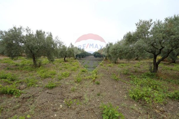 terreno agricolo in vendita a Chiaramonte Gulfi