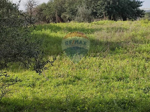 terreno agricolo in vendita a Chiaramonte Gulfi