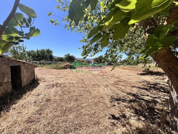 casa indipendente in vendita a Chiaramonte Gulfi