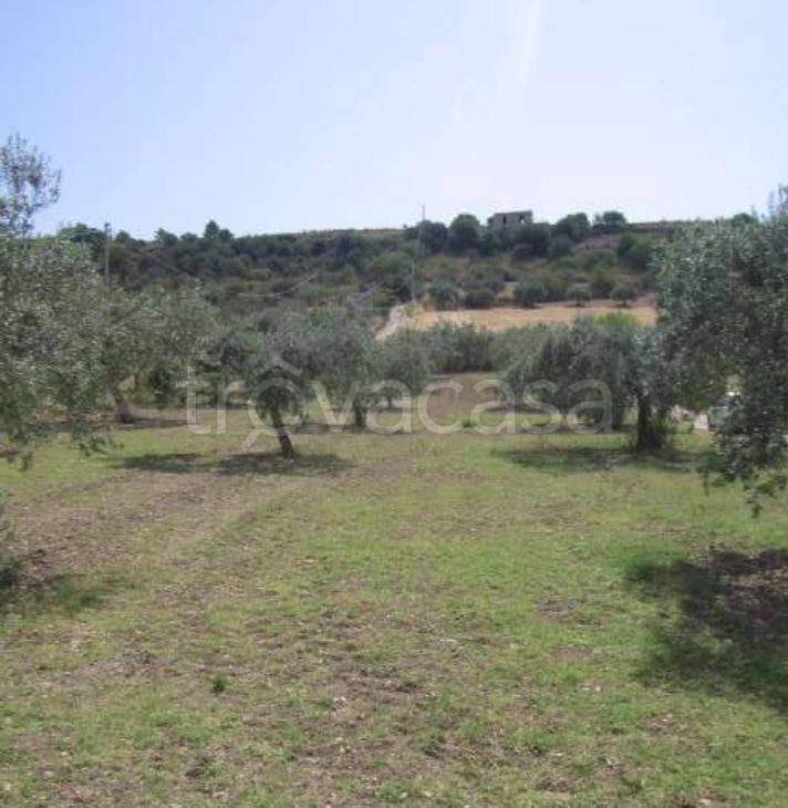 immagine annuncio 0 di 3