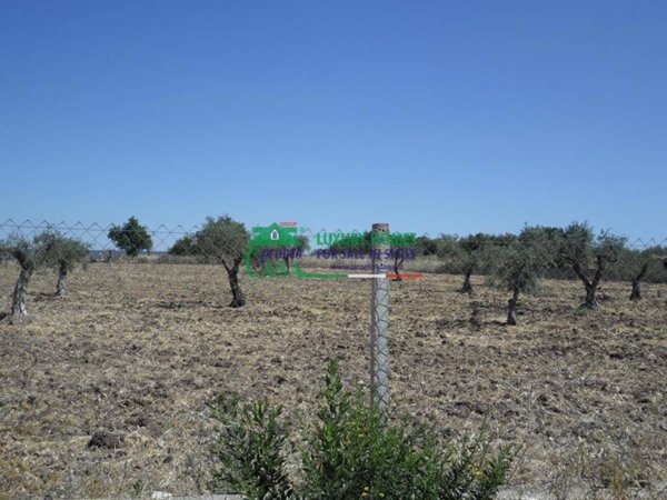casa indipendente in vendita a Chiaramonte Gulfi