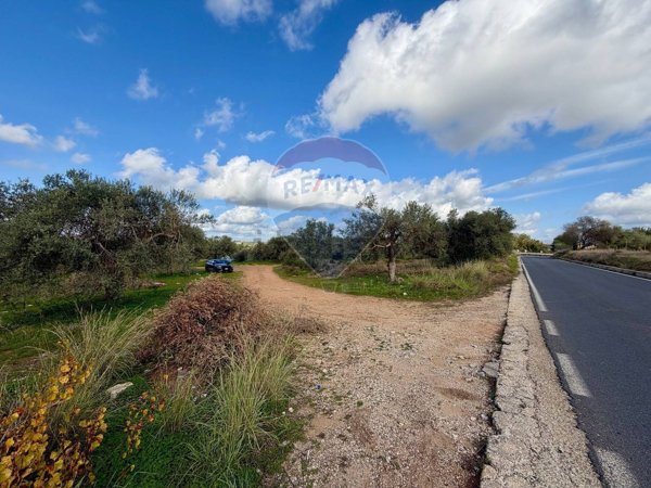 terreno agricolo in vendita a Chiaramonte Gulfi