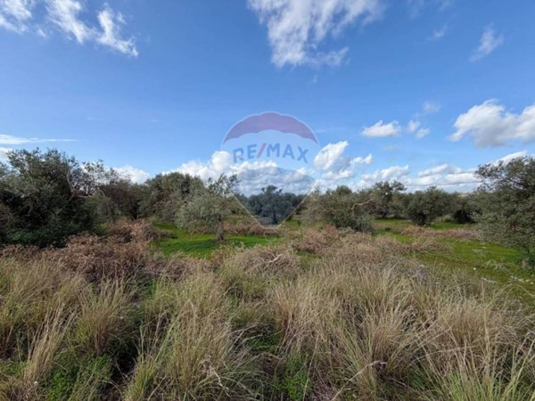 terreno agricolo in vendita a Chiaramonte Gulfi