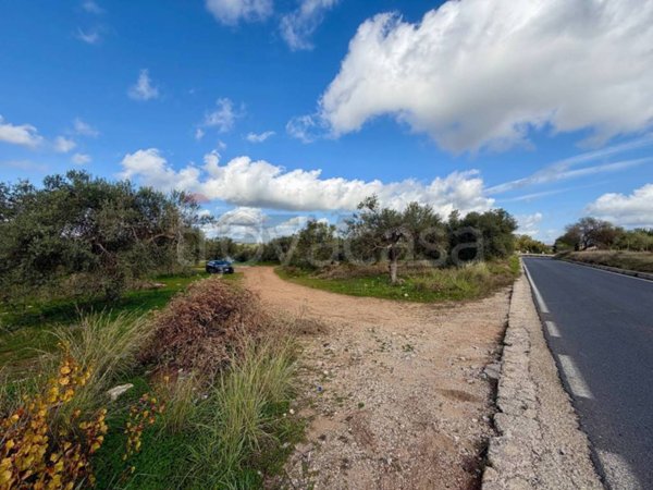 terreno agricolo in vendita a Chiaramonte Gulfi