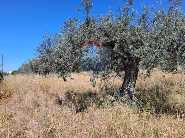 casa indipendente in vendita a Chiaramonte Gulfi