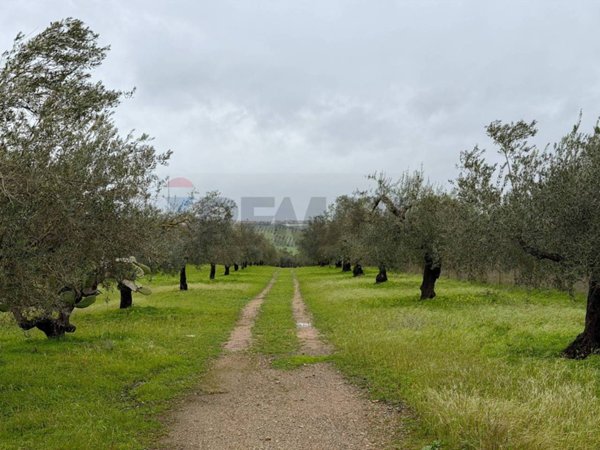 terreno agricolo in vendita a Chiaramonte Gulfi