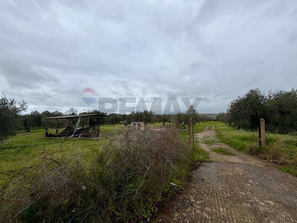 terreno agricolo in vendita a Chiaramonte Gulfi