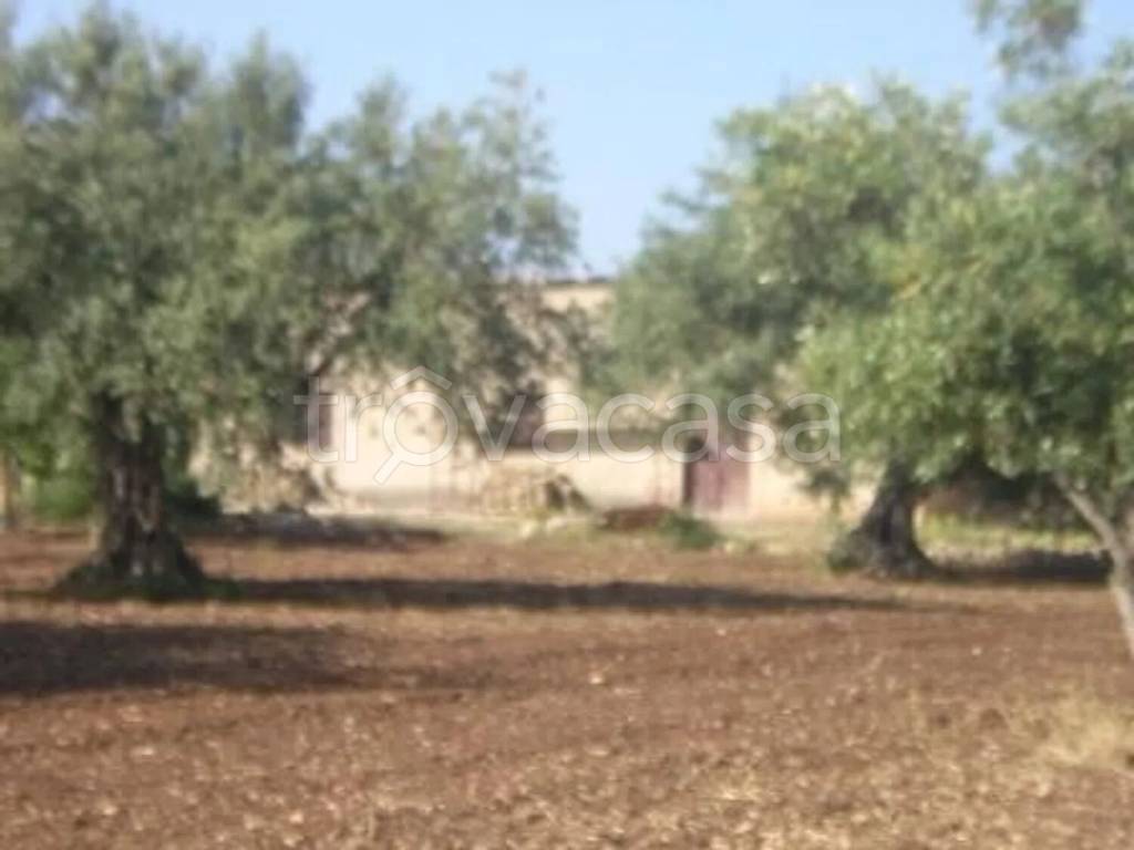 casa indipendente in vendita a Chiaramonte Gulfi