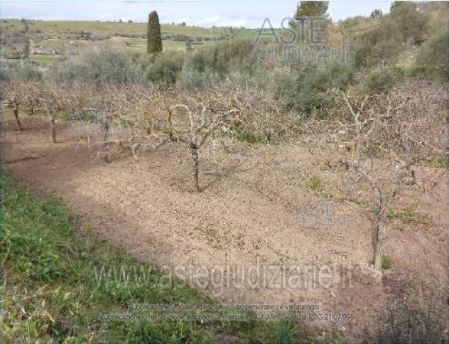 casa indipendente in vendita a Chiaramonte Gulfi