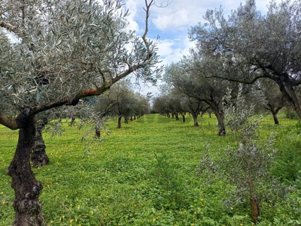 casa indipendente in vendita a Chiaramonte Gulfi