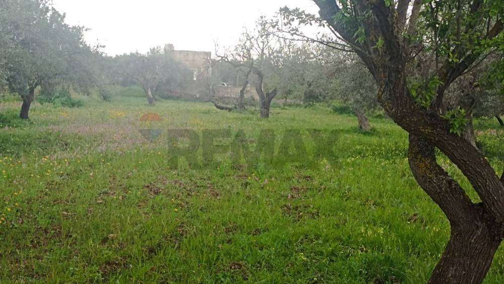 terreno edificabile in vendita a Chiaramonte Gulfi