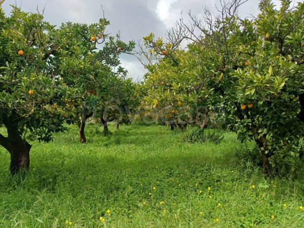 casa indipendente in vendita a Chiaramonte Gulfi
