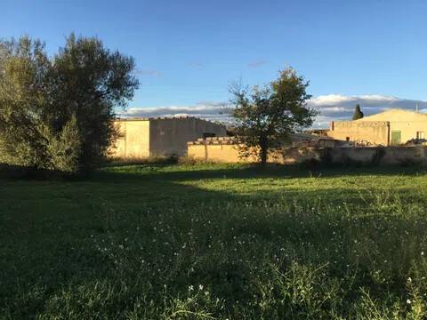 terreno agricolo in vendita a Chiaramonte Gulfi in zona Roccazzo