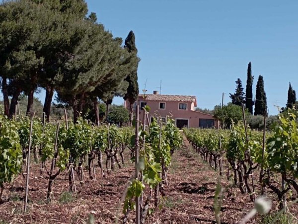 casa indipendente in vendita a Chiaramonte Gulfi
