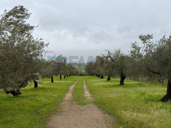 terreno agricolo in vendita a Chiaramonte Gulfi in zona Piano dell'Acqua
