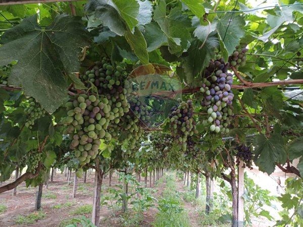 terreno in vendita a Chiaramonte Gulfi in zona Piano dell'Acqua