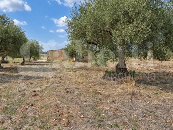 terreno in vendita a Chiaramonte Gulfi in zona Piano dell'Acqua