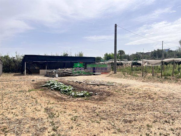 terreno agricolo in vendita a Comiso