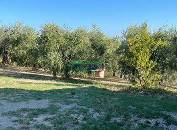 terreno agricolo in vendita a Comiso