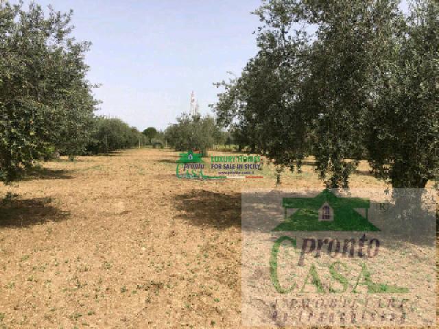 terreno agricolo in vendita a Comiso