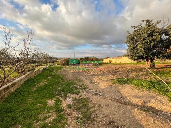 terreno agricolo in vendita a Comiso in zona Centro Storico