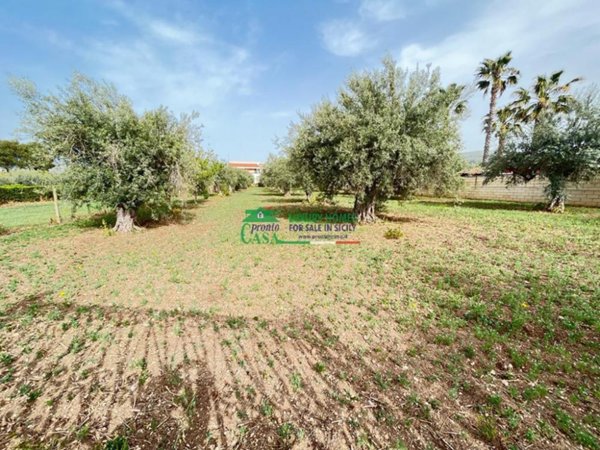 terreno agricolo in vendita a Comiso