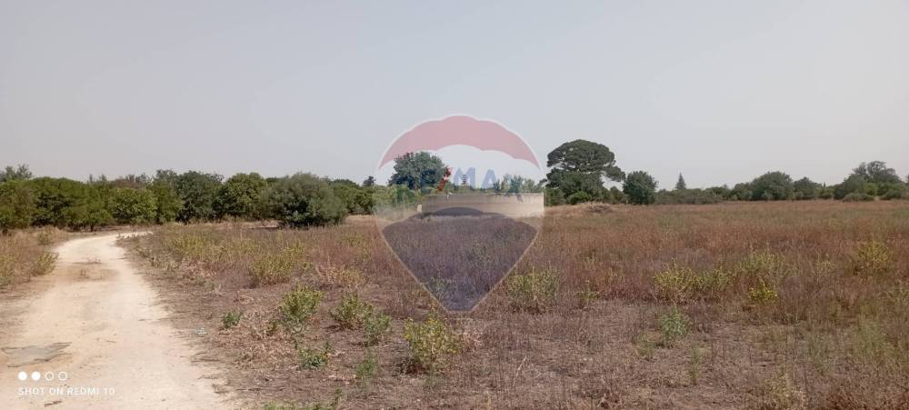 terreno agricolo in vendita a Comiso in zona Pedalino