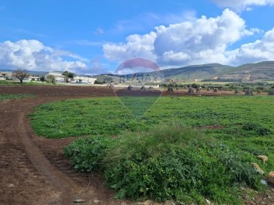 casa indipendente in vendita a Comiso