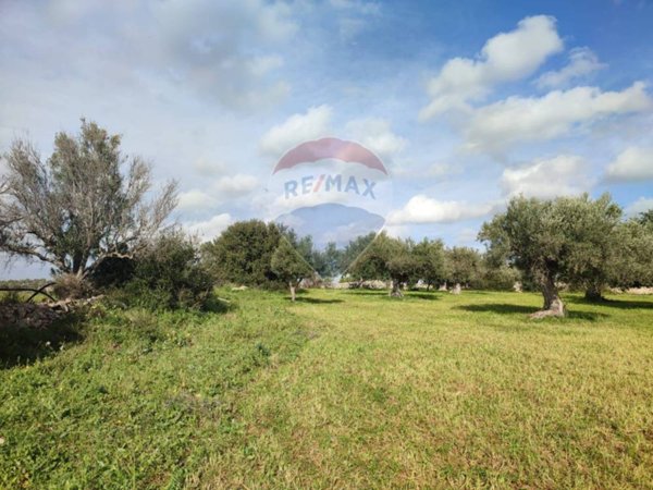 terreno agricolo in vendita a Comiso in zona Contrada Piombo