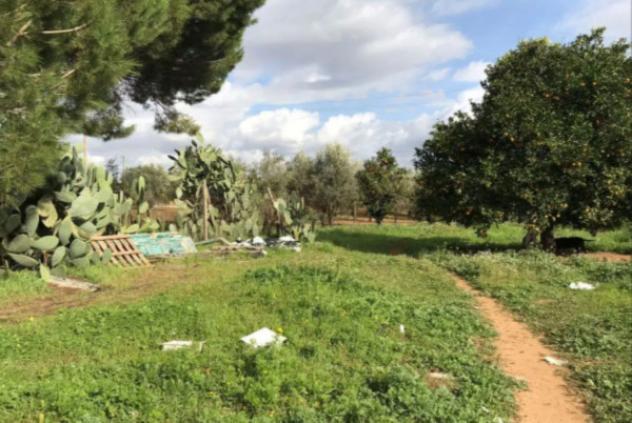 appartamento in vendita a Comiso